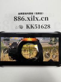 咸鱼侠大战b宫怪